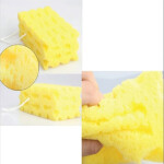 Car Washing Coral Sponge