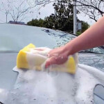 Car Washing Coral Sponge