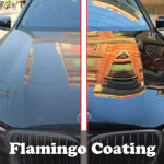 Flamingo Coating Sedan