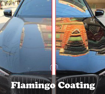 Flamingo Coating Sedan